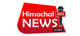 Himachal News Alert